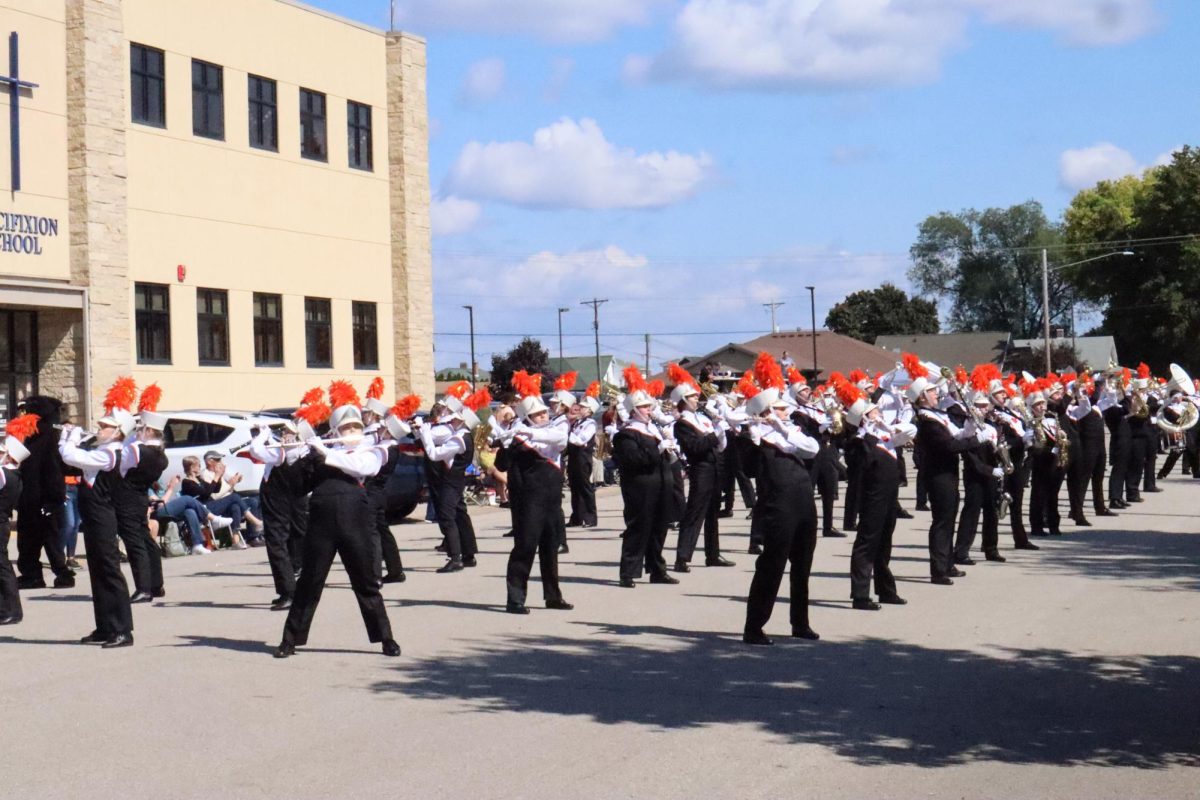 Panthers in Parades