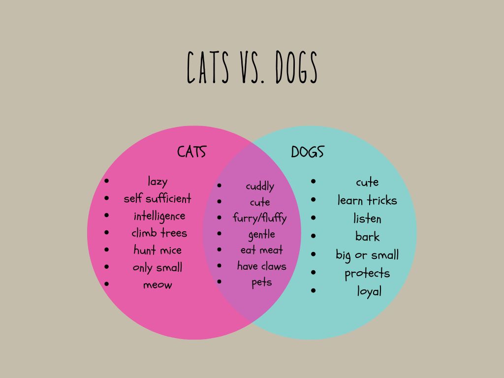 Cats vs. Dogs