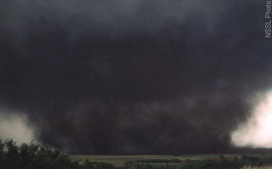 The Top 5 Deadliest Tornadoes in United States History